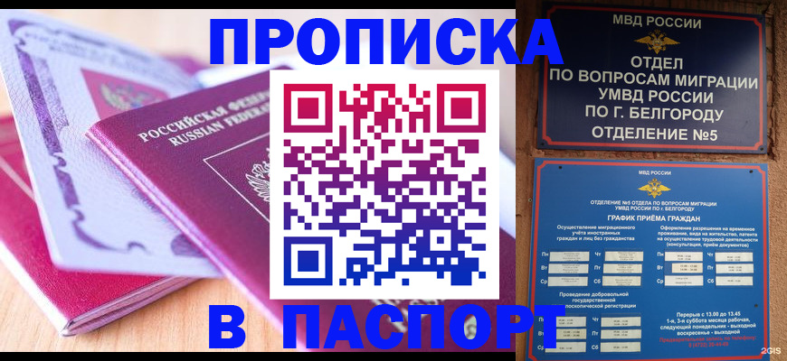 временная регистрация законно в Волосово