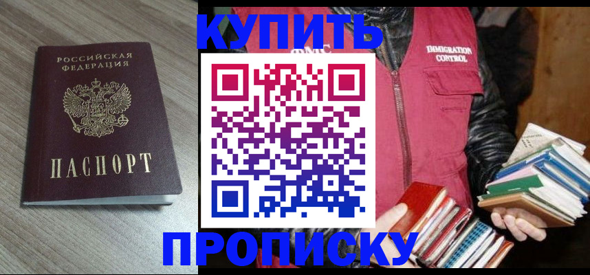 прописка 2025 в Волосово